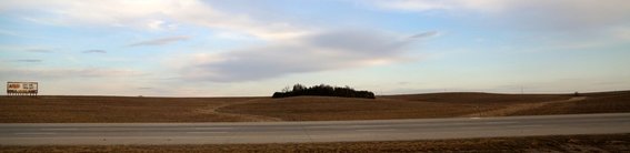 Nebraska, stand of trees in field