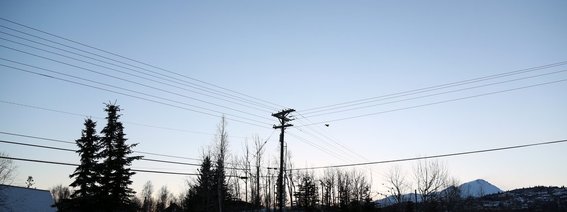 Anchorage, Power pole at dawn, Suburban area