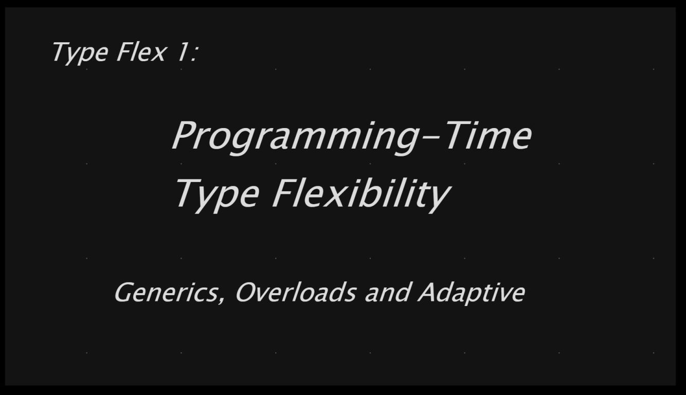 Cover image with text "Type Flex 1 Programming-Time Type Flexibility Generics, Overloads and Adaptive"